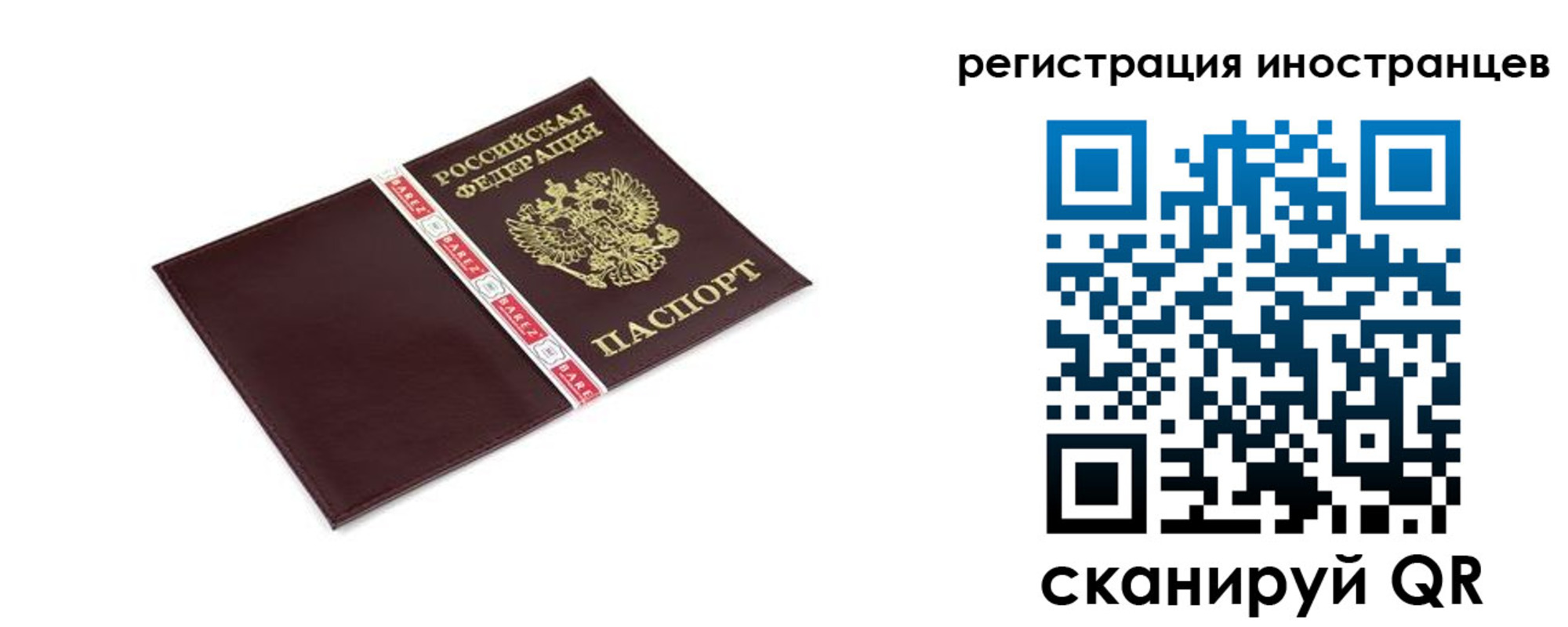 временная регистрация в Щиграх